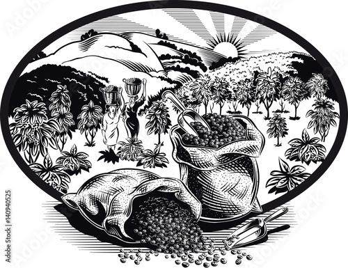 oval frame with bags of coffee and plantation.