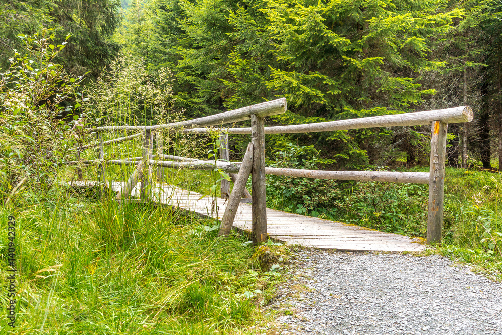 Holzbrücke über ein Bachbett mitten im Wald Holzbrücke über ein Bachbett mitten im Wald
