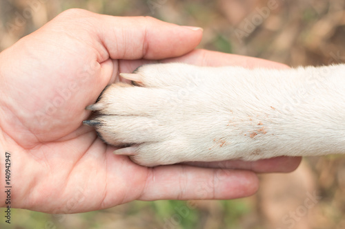 Friendship between human and dog © THINNAKORN