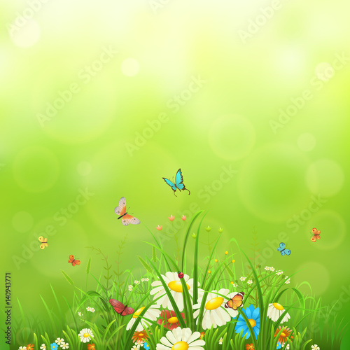 Green meadow background flowers, butterflies and grass