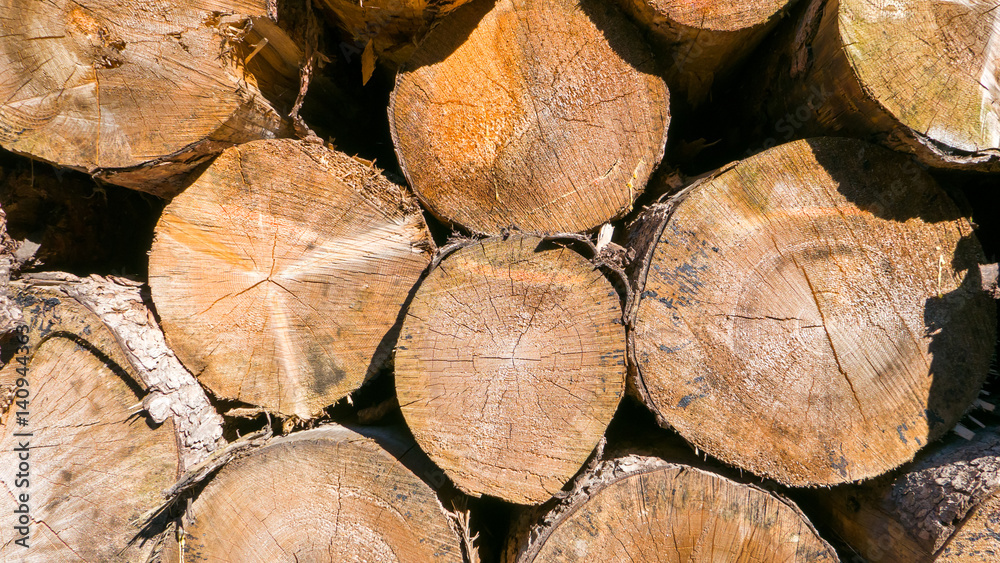 Close view of pile of old dirty timber logs stacked in the forest Close view of pile of old dirty timber logs stacked in the forest