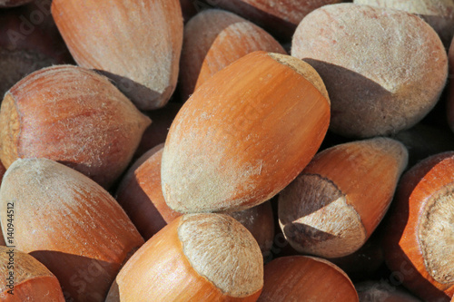 many of brown hazelnuts photographed up close