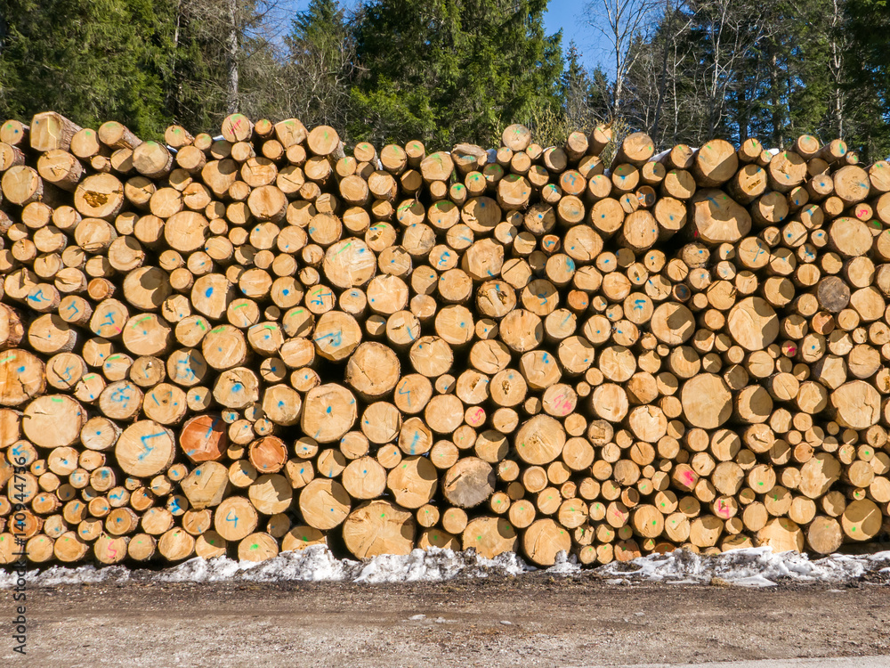 Pile of timber logs stacked in the mountain forest