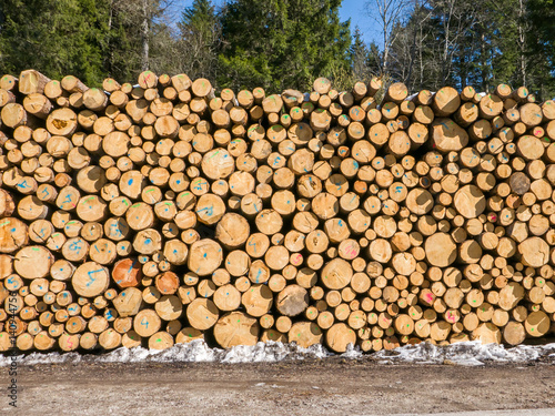 Pile of timber logs stacked in the mountain forest