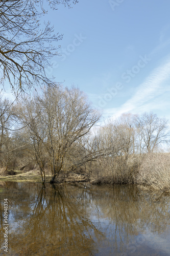 Image of a dry tree next to a river in winter
