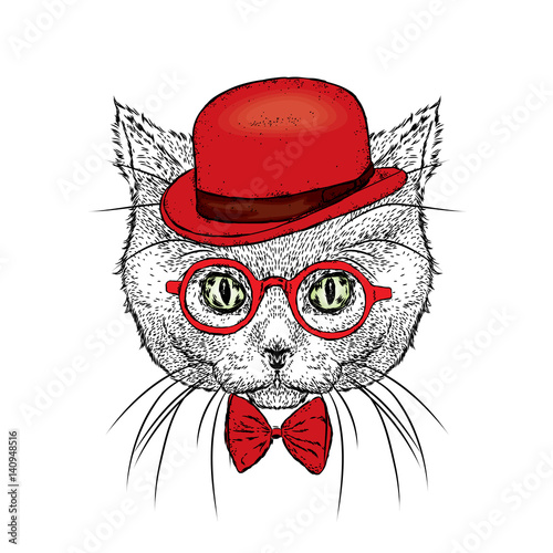 A beautiful cat with a hat, glasses and a tie. Vector illustration.