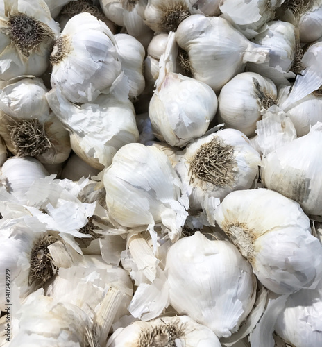Several raw Garlic Bulbs make a Vegetable background