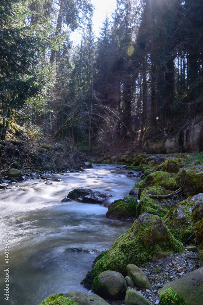 Obraz premium Bach im Hochformat in der Natur