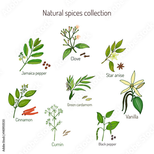 Natural spices collection