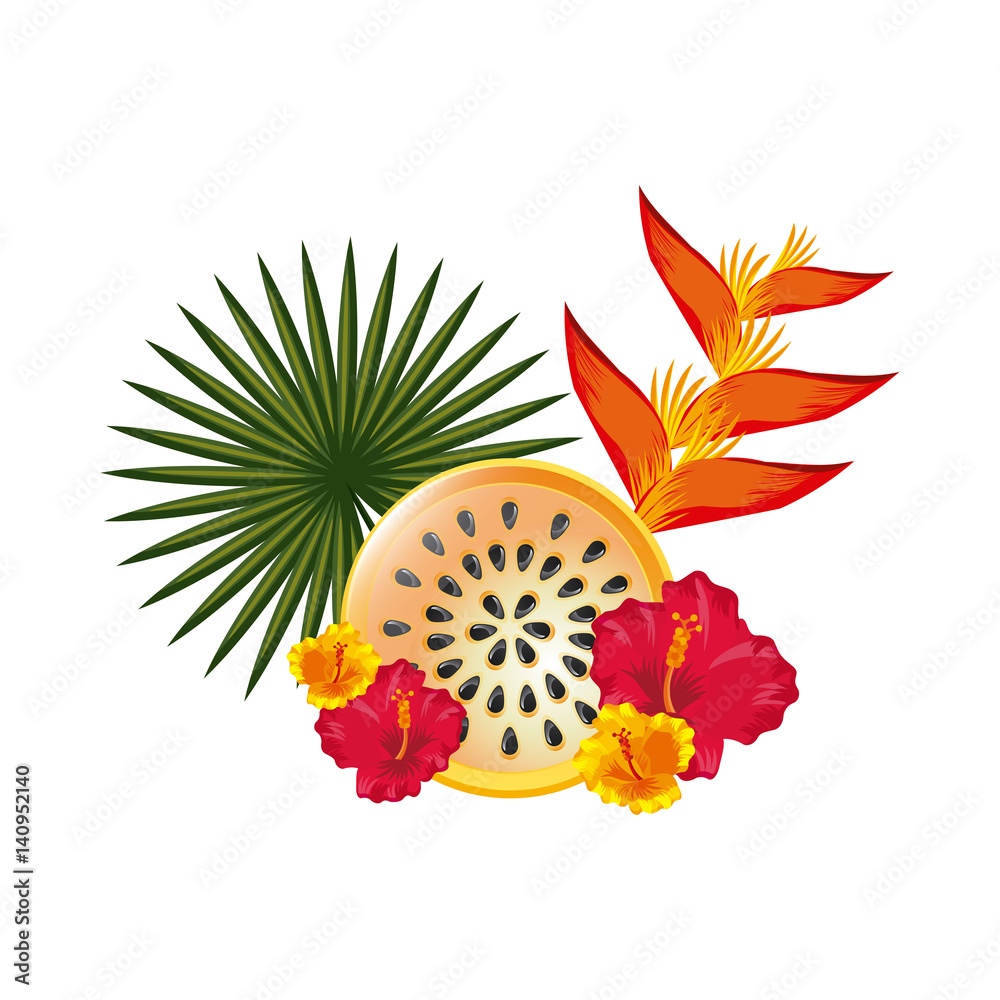 Naklejka premium fruit and tropical flowers and leaves over white background. colorful design. vector illustration
