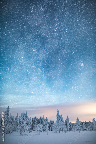 Stars in sky above snow covered forest, Finland