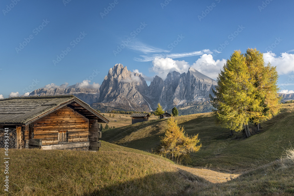 Alpe di Siusi/Seiser Alm, Dolomites, South Tyrol, Italy. Autumn colors on the Alpe di Siusi/Seiser Alm with the Sassolungo/Langkofel and the Sassopiatto/Plattkofel in background Alpe di Siusi/Seiser Alm, Dolomites, South Tyrol, Italy. Autumn colors on the Alpe di Siusi/Seiser Alm with the Sassolungo/Langkofel and the Sassopiatto/Plattkofel in background