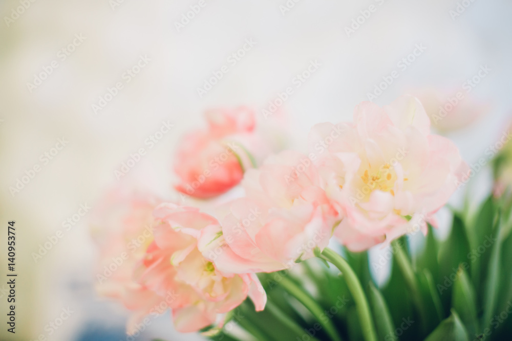 blur background. bouquet of soft pink tulips. spring 