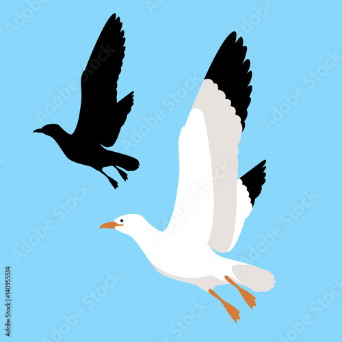 seagull vector illustration style Flat set silhouette