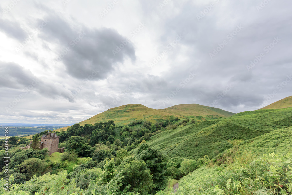 Obraz premium Ferns on the hillside above Castle Campbell near Dollar, Scotland.