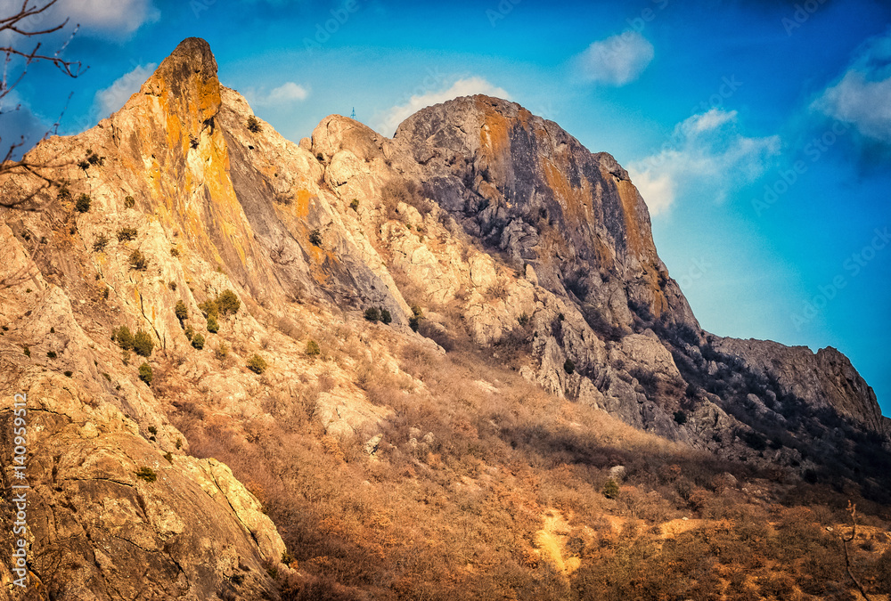 Obraz premium OLYMPUS DIGITAL CAMERA