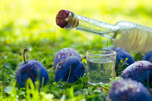 Slika na platnu Plum brandy or schnapps with fresh and ripe plums in the grass after rain, Bottl