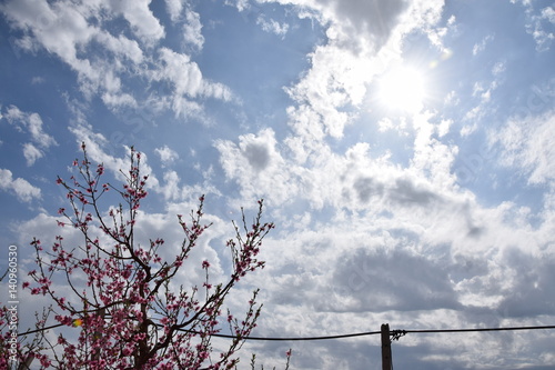 Pesco con cielo e nuvole