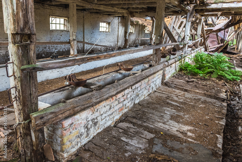 Ruins of pig house in former Soviet collective farm in abandoned Masheve settlement, Chernobyl Exclusion Zone, Ukraine