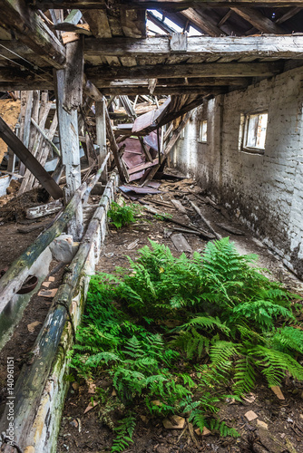 Ruins of pig house in former Soviet collective farm in abandoned Masheve settlement, Chernobyl Exclusion Zone, Ukraine