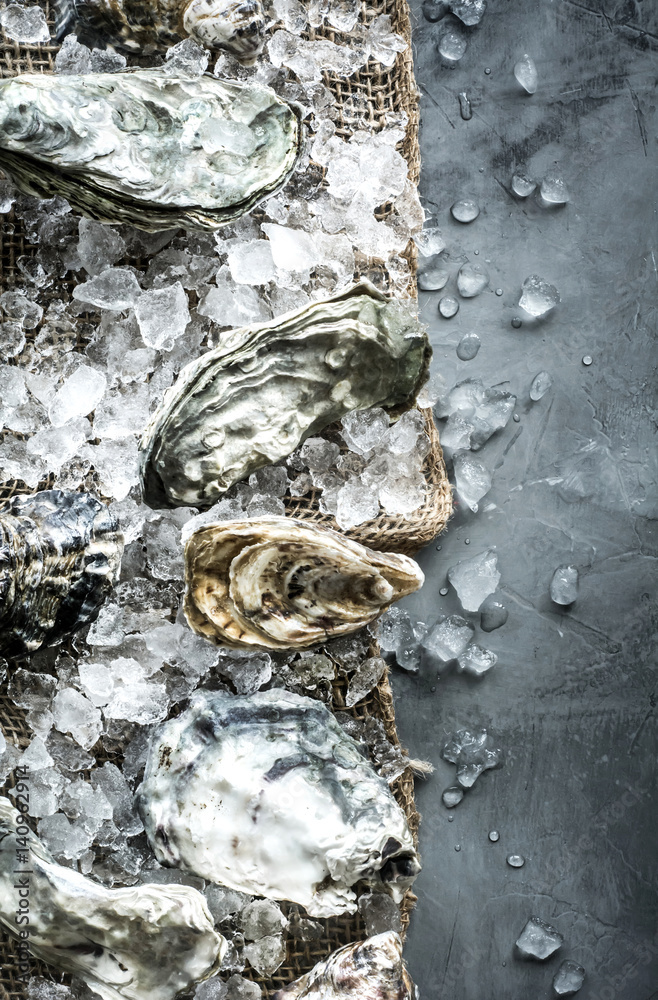 Fresh oysters in shells Fresh oysters in shells