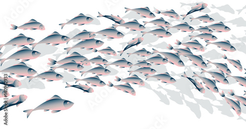 School of fish vector illustration for header, web, print, card and invitation. Plenty of herring or cod moving in the sea.