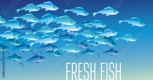 Group of fresh fish vector illustration for header, web, print, card and invitation. Plenty of herring or cod moving in the sea water.