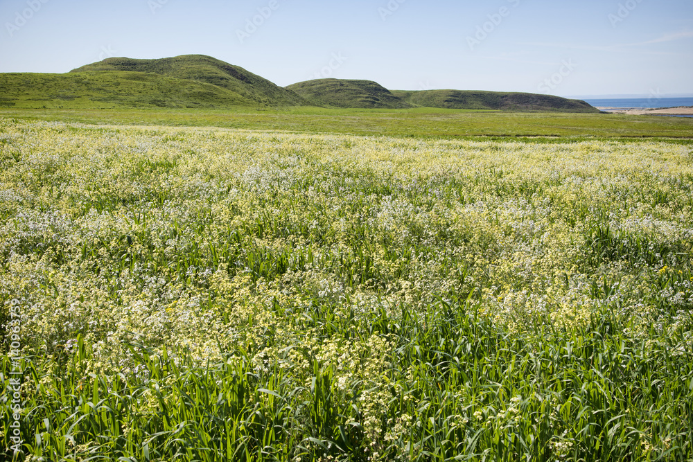 Point Reyes National Seashore, California