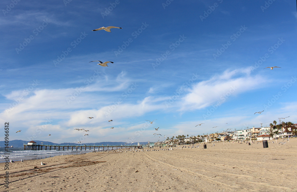 Naklejka premium The seagulls flight at a Beach on California