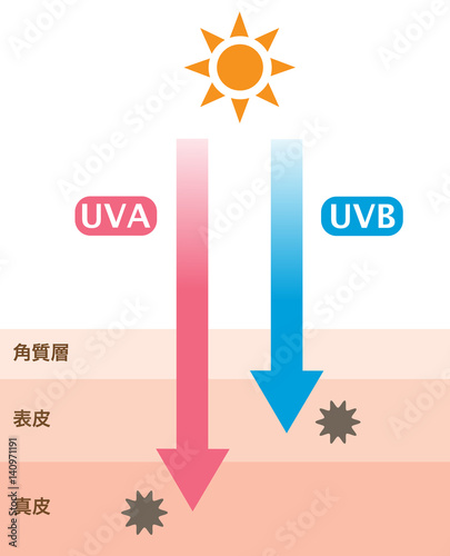 紫外線