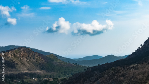 Balearic Island Majorca after forest fire. Serra de Tramuntana mountain view with burnt trees for nature concept website