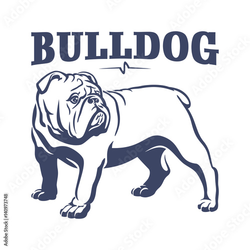 British bulldog mascot emblem illustration photo