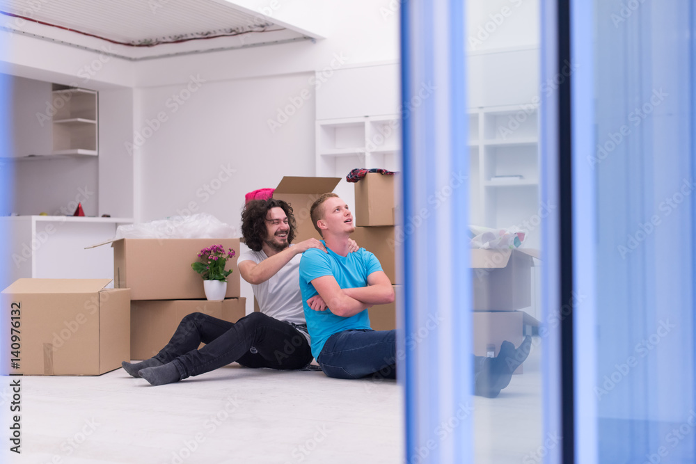 young gay couple moving in new house young gay couple moving in new house