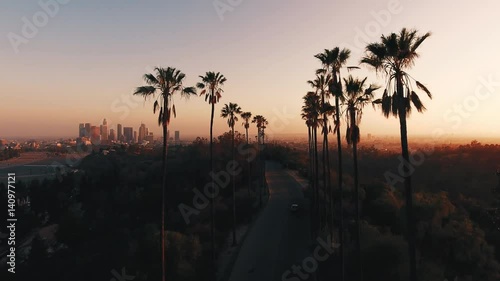 Palm trees in Los Angeles at sunset, aerial POV