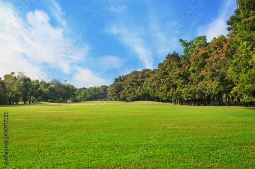 Sky and green grass field in city park