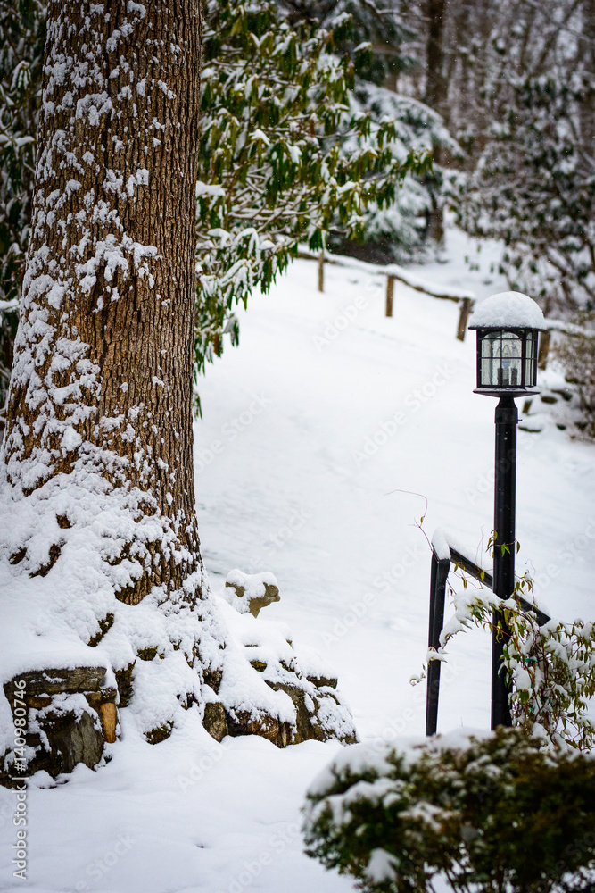 Snow Steps and light post with tree