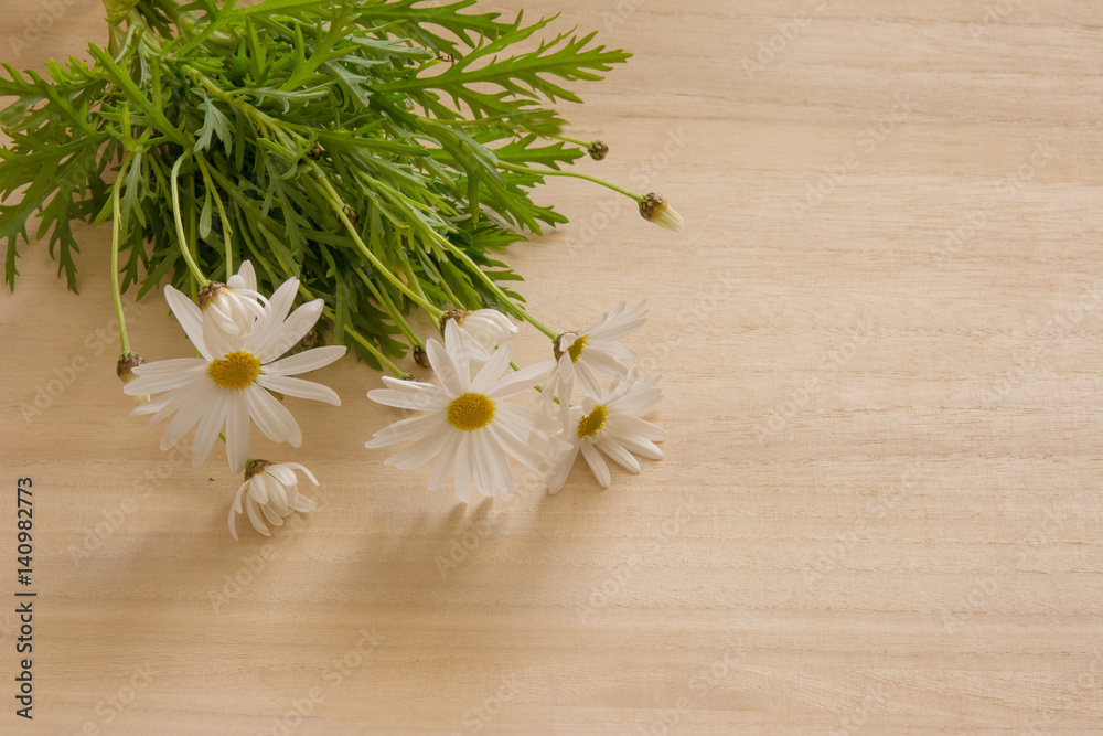 マーガレット 木目背景 Stock Photo Adobe Stock