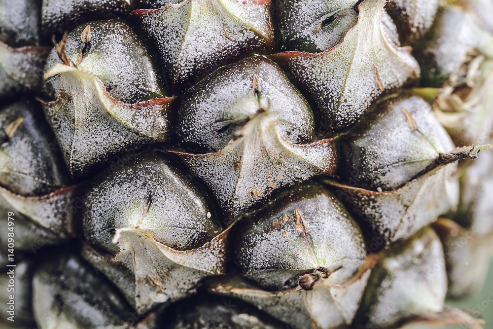 Pineapple skin close up Pineapple skin close up