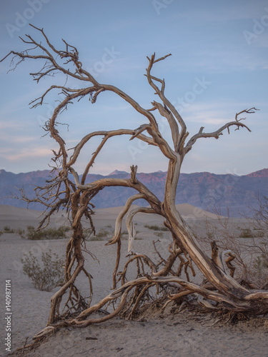 Mesquite Flat Sand Dunes at Early Sunset-Death Valley National Park