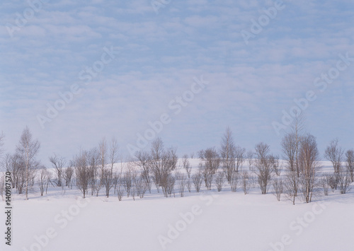 Snow field © imagenavi