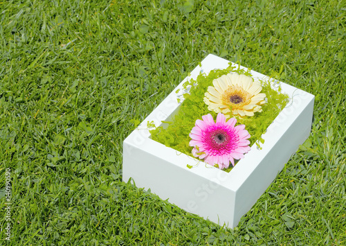 Foto Gift of flowers
