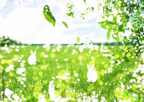 Grassland