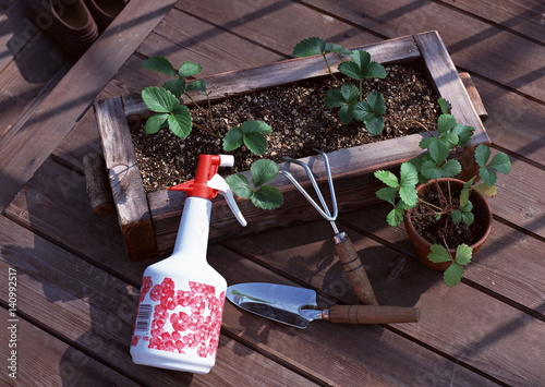 Gardening Tool photo