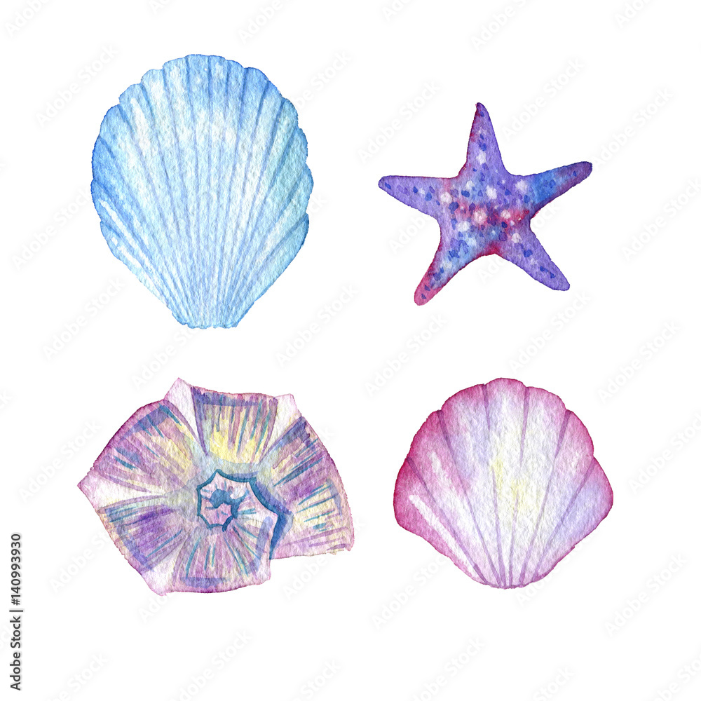 sea life. Watercolor seashels set isolated on white background sea life. Watercolor seashels set isolated on white background