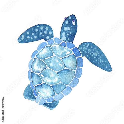 sea life. Watercolor sea turtle isolated on white background
