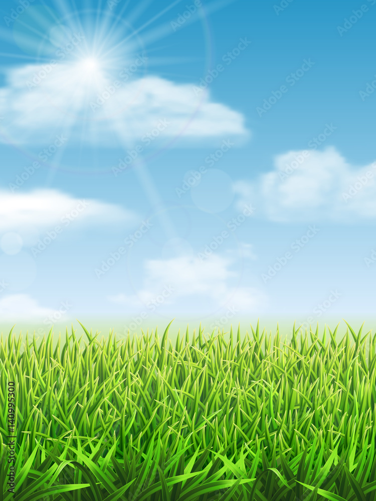 Fresh green grass on the meadow and blue sky. Vector nature background. Fresh green grass on the meadow and blue sky. Vector nature background.