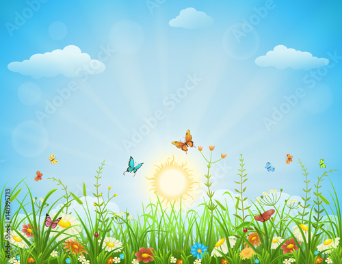 Summer meadow background with flowers  butterflies and green grass