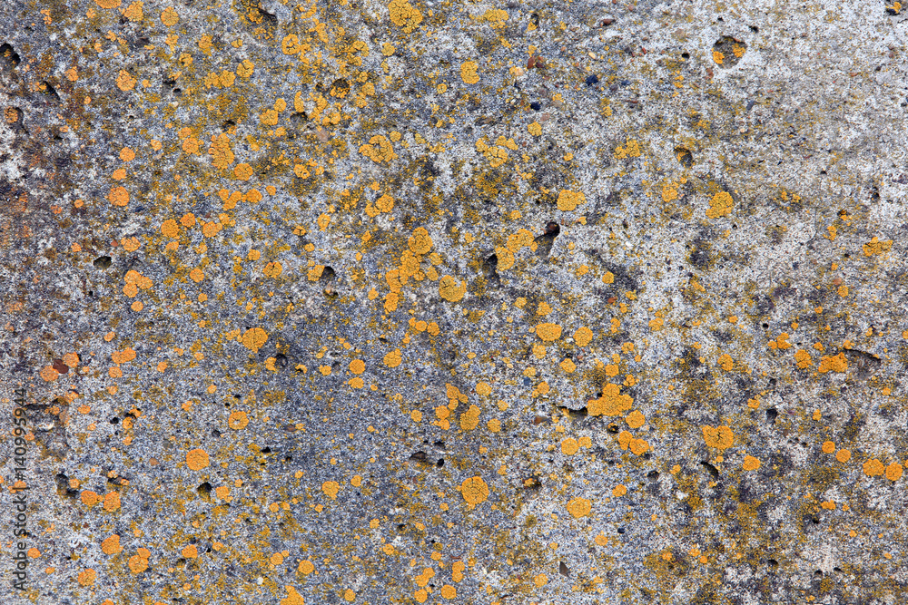 texture of the old cracked paint texture of the old cracked paint
