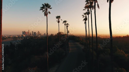 Aerial POV, palm trees in Los Angeles