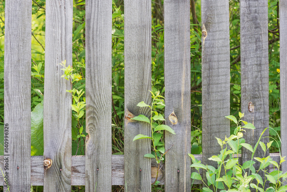 Old wooden fence